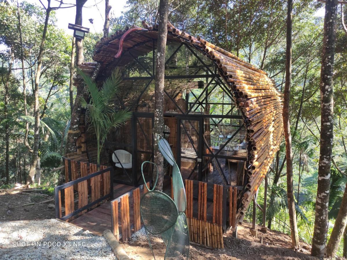 מלון Glamping San Luis Nativa מראה חיצוני תמונה